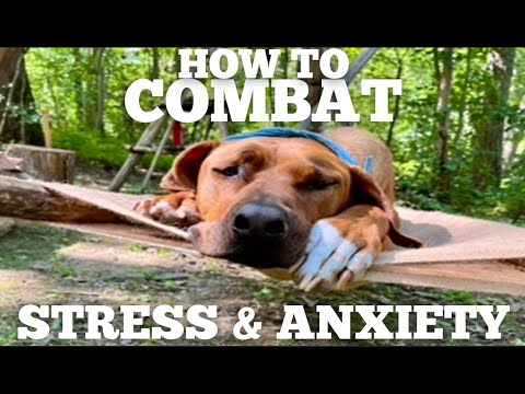 Are STRESS & ANXIETY KILLING Your Physcial Progress?!?!