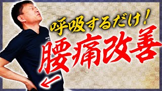 【ゴリゴリ腰痛】瞬間1分！ただ呼吸するだけストレッチ