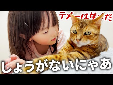 触ると噛みつく凶暴な猫と、唯一ベタベタすることを許されている4歳娘の日常