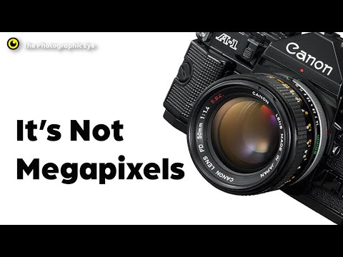 The One Feature That Makes or Breaks Your Camera