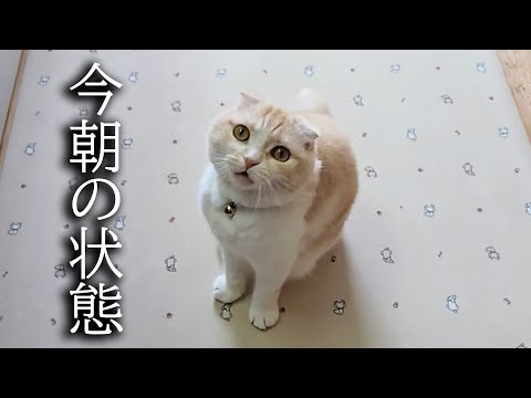 体調不良について...