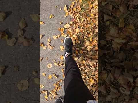 Crunchy Leaves ASMR #autumnwalk