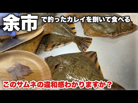 人生初！魚を捌きます。皆様はこのサムネの違和感に気付きますか？