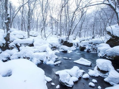 雪舞い津軽　桂竜士　cover　青島 通