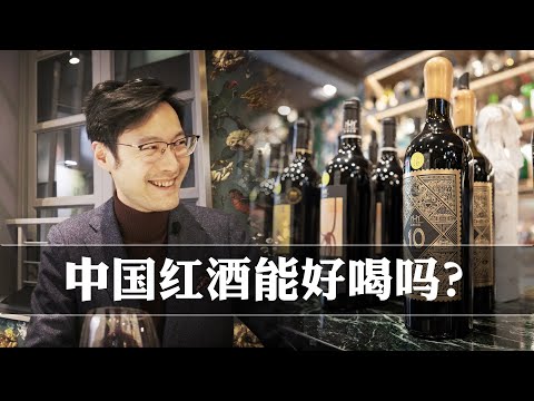 红酒宴会VLOG：一晚上只喝国产酒感觉如何？有点出乎意料。。Are chinese wines any good?