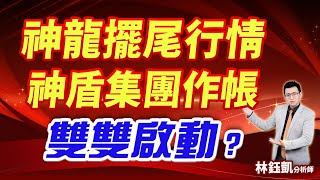 【神龍擺尾行情 神盾集團作帳 雙雙啟動？】股林高手 林鈺凱分析師  2024.12.23