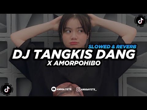 DJ Tangkis Dang x Amorpohibo (Slowed & Reverb) 🎧