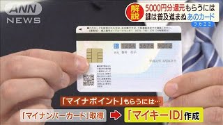 還元率25％　最大5000円「マイナポイント」って？(19/11/27)