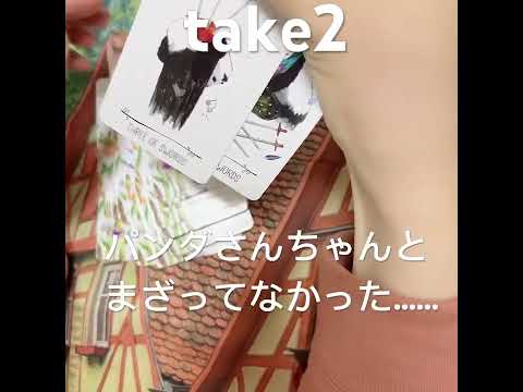 パンダタロットカード(なじむのはこれからだ。……)take2