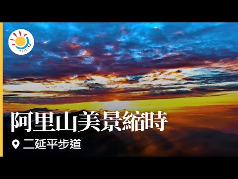 阿里山即時影像-二延平步道-縮時 | Eryanping Trail Sunset Timelapse in Alishan, Taiwan 2021-11-29