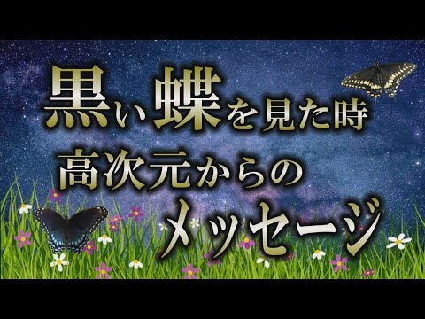 【サイン】黒い蝶には深い意味がある｜高次元の生き物が現れる時のメッセージ【クロアゲハ】