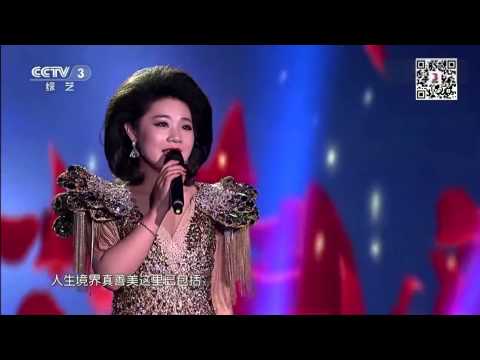 王静《小城故事》 CCTV3开门大吉