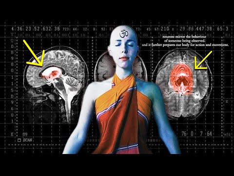 The "REAL" Law Of Attraction & The Neuroscience Behind It