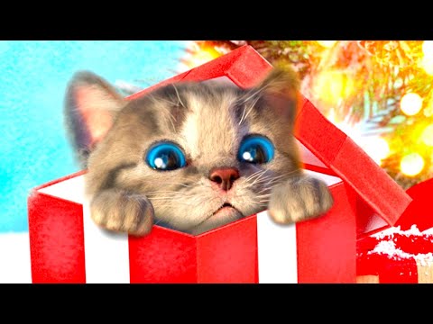 CUTE LITTLE KITTEN ADVENTURE OF A LITTLE KITTY 😸 Cat Play Fun Pet Care VIDEO FOR PRESCHOOLERS #1274