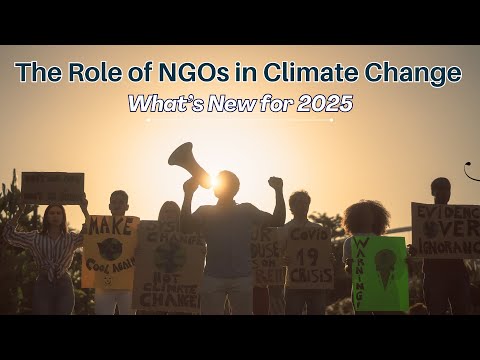 The Role of NGOs in Climate Change: What’s New for 2025