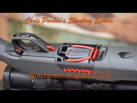 Winchester Wildcat 22 LR REVIEW