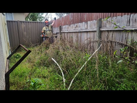 I Mowed This DISGUSTING Overgrown Lawn after Local Gang Members RANSACKED This ABANDONED House