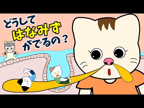 【アニメ 絵本読み聞かせ】どうして鼻水が出るの？〜鼻水と白血球の絵本〜