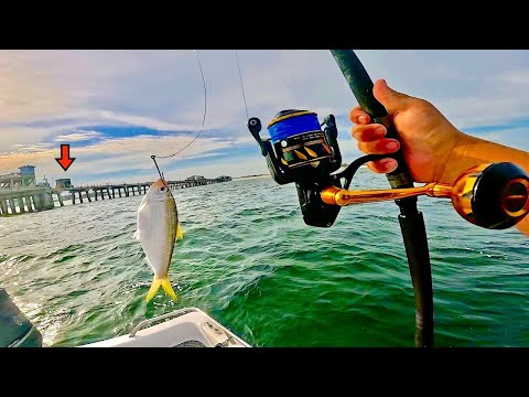 I Tossed a LIVE SARDINE! along this Damaged GULF PIER and Caught THIS!