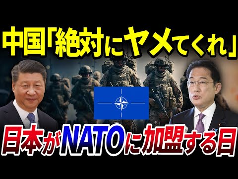 【ゆっくり解説】世界最強の同盟…日本がNATOに加盟する日は来るのか？加盟したらどうなる？を解説/中国が猛反発する理由とは