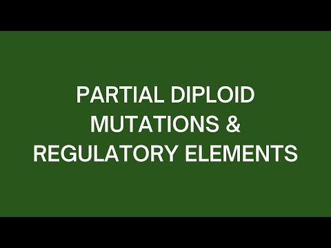 Partial Diploid Mutations & Regulatory Elements