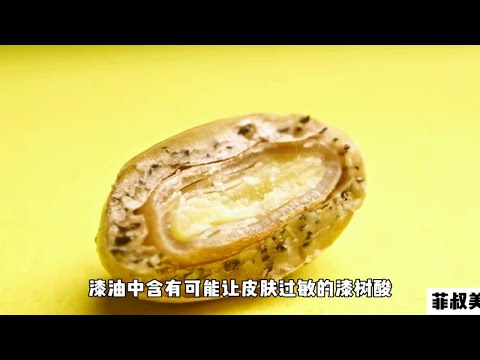 吃完让皮肤过敏的漆油，却在云南怒江做出不仅美味还滋补的漆油鸡