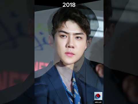 Ssehun (Exo) Visual Transformation (2013-2024)