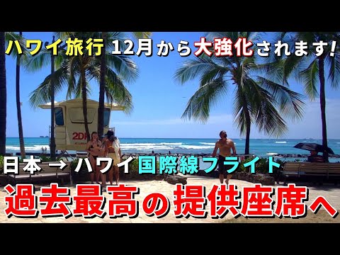 ［激増］ハワイ旅行が大復活！日本=ハワイ便 フライト最新情報！過去最多の提供座席数へ【ハワイ最新情報】【ハワイの今】【ハワイ旅行2023】【HAWAII】