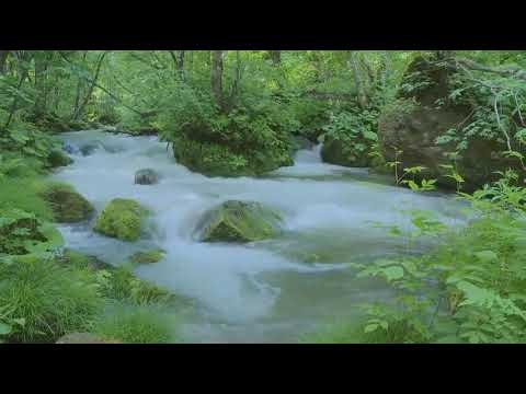 Beautiful Piano Music, Relaxing Music, study music, Sleep Music, Water Sounds, Meditation, Morning