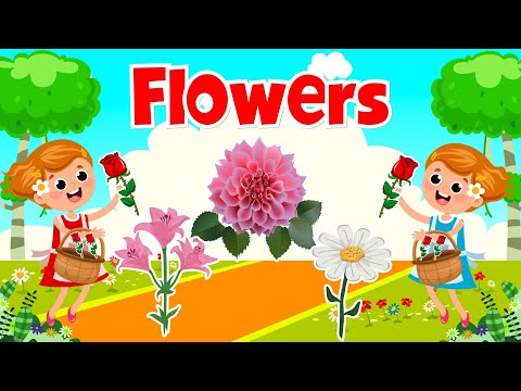 Learn Flowers Name for Kids | Flowers Name in English | Educational Video For Kids and Toddlers