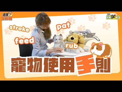 【這是在幹麻？】寵物主人的相關「手」則 | Pets | host. Jack