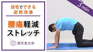 【腰痛軽減】2分間の腰伸ばしストレッチ（キャットアンドドッグ、姿勢改善）