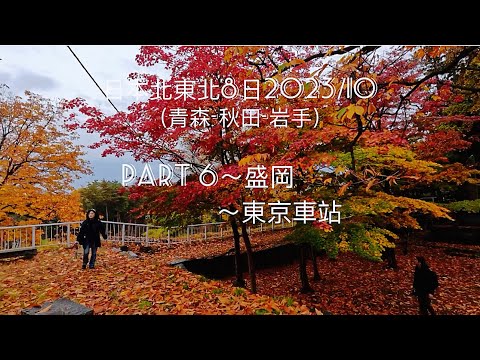 日本北東北賞楓| Part6 ～盛岡Morioka /東京驛  Tokyo eki