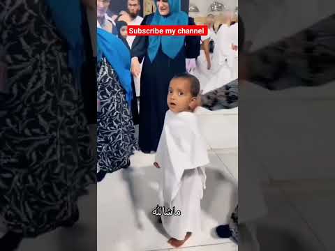 7 Year old child mashallah #pigeon #pigeonbreeds #beautiful #millionviews #pigeontypes #funnyreel