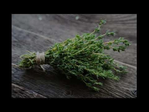 Let No Man Steal Your Thyme: A Cappella Low Voice