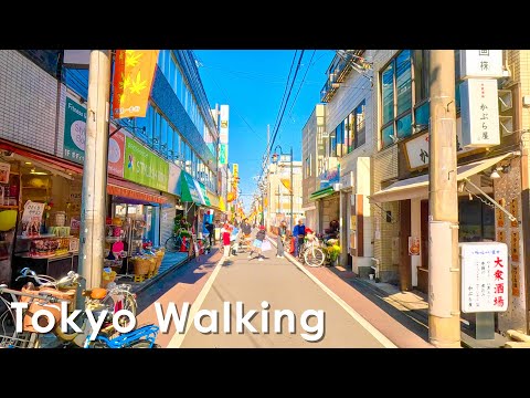 Walking around Hitotsubashi Gakuen in Tokyo, Japan 4K