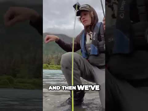 Spilling Sockeye Secrets