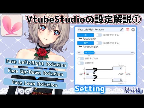 【VTubeStudio設定解説Setting①】顔の左右、上下、首傾げFacial tilt from side to side, up and down, and neck tilt