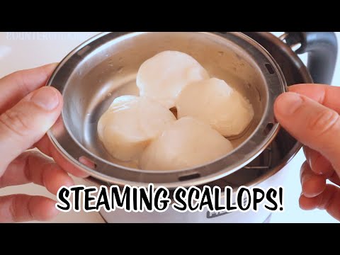 Steaming Scallops for the FIRST Time in The Hotpot! Scallops Foaming When Cooking