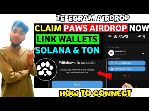 How to Claim Paws Airdrop | How to connect wallet in Paws | Paws Airdrop Withdrawal | Paws Solana