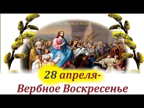 Вербное Воскресенье! Великий Смысл и суть этого Праздника! Вход Господа в Иерусалим! Святитель Лука