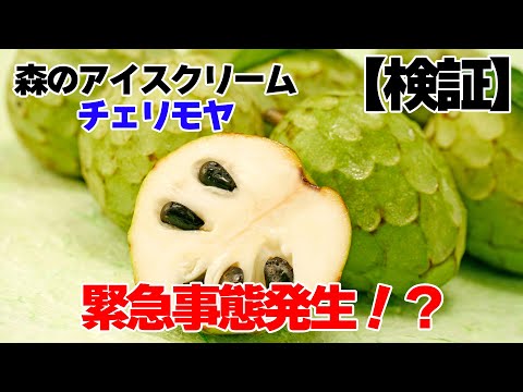 【検証】森のアイスクリーム・チェリモヤとは？