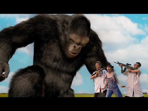 Rescue King Kong From Danger | Kingdom of the Planet of the Apes VS Jurassic Park 4 | Best Movies