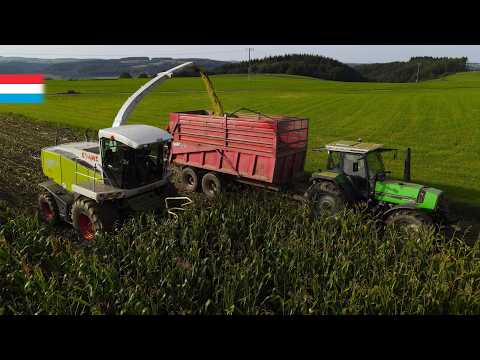 Chopping Corn | Claas Jaguar + Krone Easycollect // NH T7 // Deutz-Fahr // Fendt | Luxembourg 2023