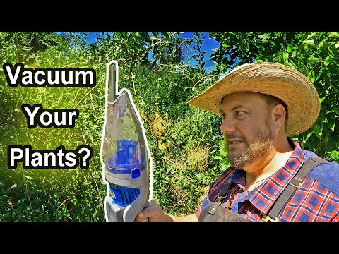 Vacuum Your Plants For A Pest Free Garden | Organic Pest Control