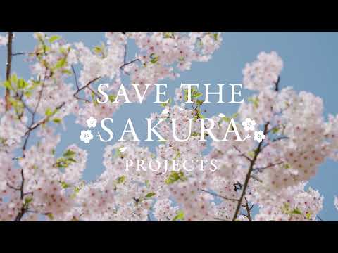 【SAVE THE SAKURA PROJECT】ソメイヨシノを後世に残すために。