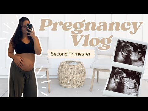 SECOND TRIMESTER VLOG | Symptoms, Anatomy Scan, Glucose Test, Real Feelings