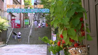 伊香保温泉石段街の魅力【渋川市プロモーション動画】