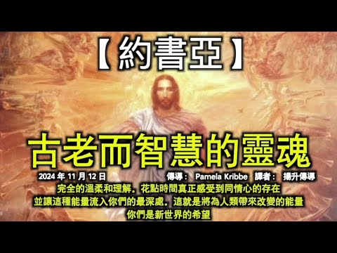 古老而智慧的靈魂【約書亞】完全的溫柔和理解。花點時間真正感受到同情心的存在，並讓這種能量流入你們的最深處。這就是將為人類帶來改變的能量，你們是新世界的希望