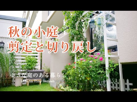 ガーデニング｜秋の小庭、剪定と切り戻し｜ 〜小さな庭のある暮らし#87 〜Gardening ｜ Life in a tiny garden